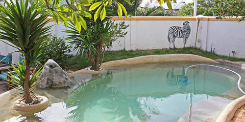 Green Elephant Backpackers Kapstadt Exterior foto