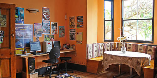 Green Elephant Backpackers Kapstadt Exterior foto